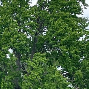 Meet your Posher, Aida